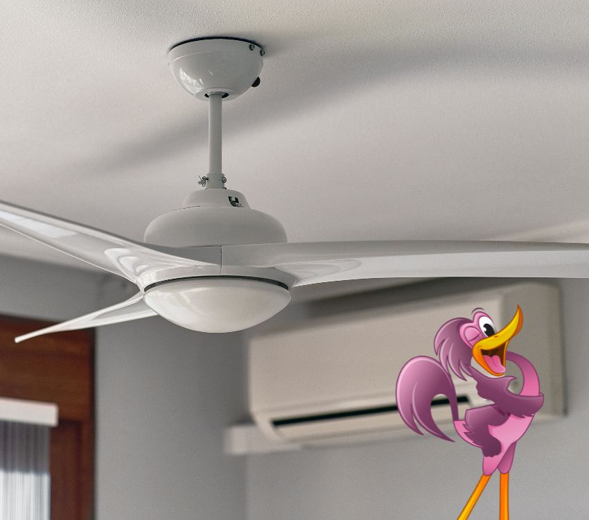 Ceiling Fan Services Boise, Idaho Right Now Electric