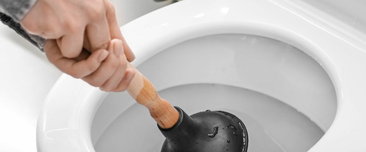 Unclogging Your Toilet